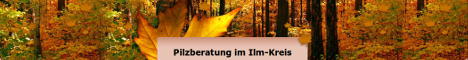 Banner Pilzberatung im Ilmkreis Banner Pilzberatung im Ilmkreis